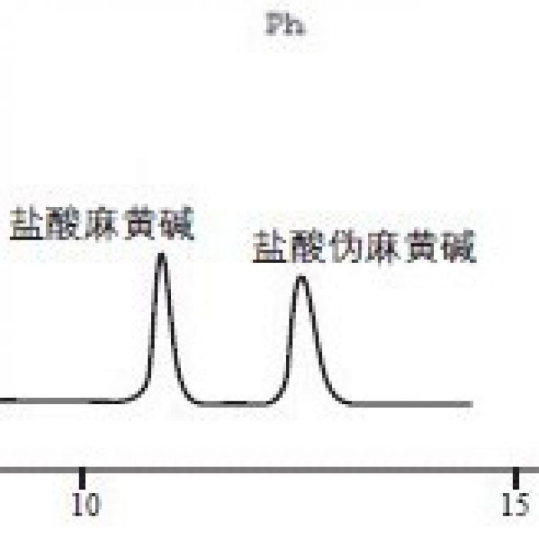 Vertex SAX强阴离子交换柱